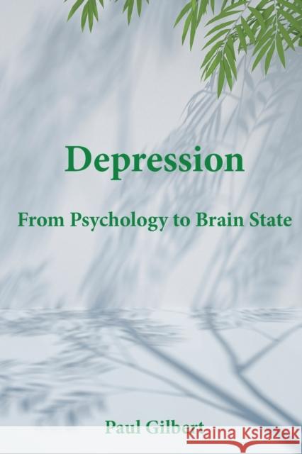 Depression: From Psychology to Brain State Paul Gilbert 9781999868369 Annwyn House