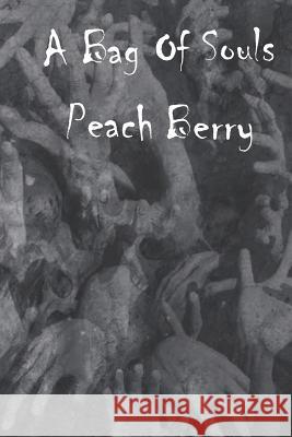 A Bag Of Souls Peach Berry, Gillian Davies 9781999876517