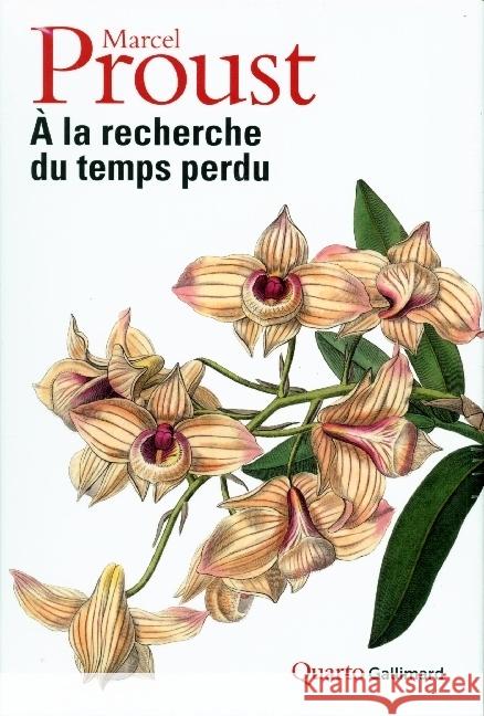 A la recherche du temps perdu Proust, Marcel 9782072876042 Gallimard