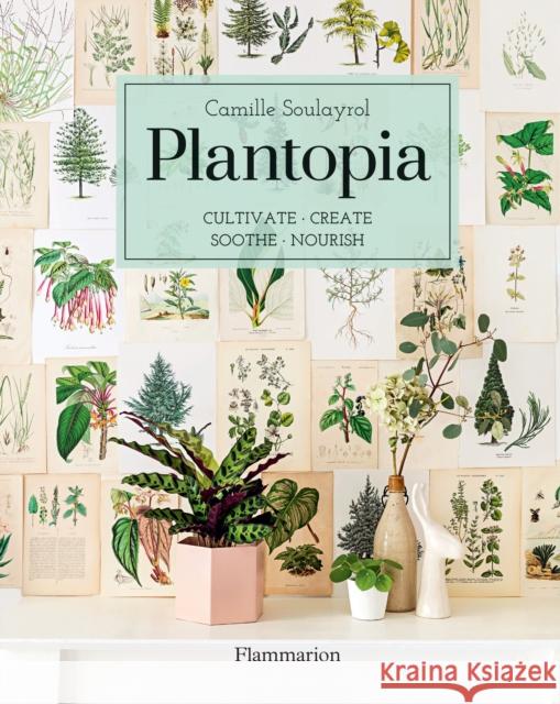 Plantopia: Cultivate / Create / Soothe / Nourish Camille Soulayrol 9782080203892 Editions Flammarion