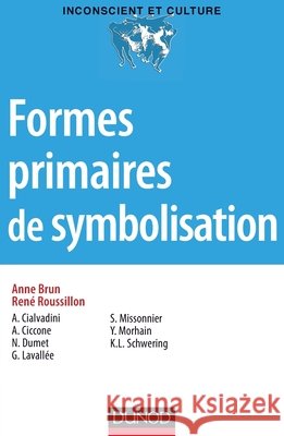 Formes primaires de symbolisation Anne Brun Ren? Roussillon Andr? Ciavaldini 9782100716685 Dunod