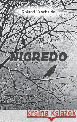 Nigredo Vaschalde, Roland 9782140260674 Editions L'Harmattan