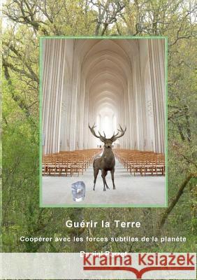 Guérir la Terre: Une coopération avec les forces subtiles de la planète Perret, Daniel 9782322017706 Books on Demand