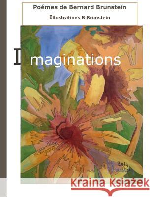 Imaginations Bernard Brunstein 9782322138630