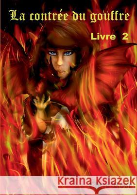 La contrée du gouffre Chris Rose 9782322156887