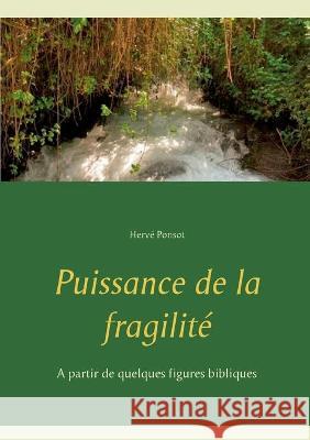 Puissance de la fragilité: A partir de quelques figures bibliques Ponsot, Hervé 9782322182558 Books on Demand