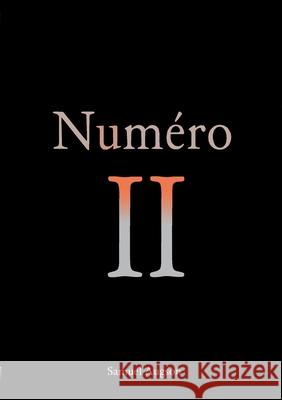 Numéro II Samuel Augson 9782322222278 Books on Demand
