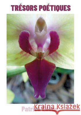 Tr?sors po?tiques Patrick Ed?ne 9782322236138 Books on Demand