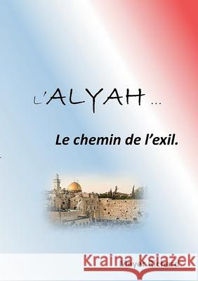 Alyah: Le chemin de l'exil Meyer Richard 9782322539628