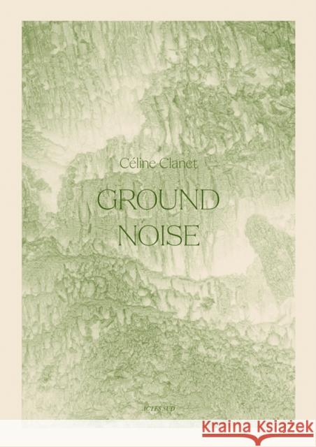 Ground Noise  9782330178901 Actes Sud