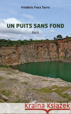 Un puits sans fond Fr?d?ric Fok 9782336488653 Editions L'Harmattan