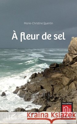 A fleur de sel Marie-Christine Quentin 9782343101835
