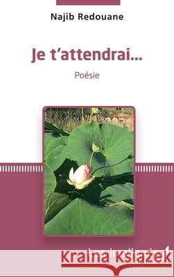 Je t'attendrai... Redouane, Najib 9782343232706 Les Impliques