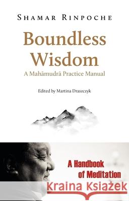 Boundless Wisdom: A Mahamudra Practice Manual Shamar Rinpoche Martina Draszczyk 9782360170760 Rabsel Publications
