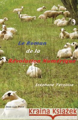 Le roman de la révolution numérique: Hors Goncourt 2013 Ternoise, Stephane 9782365414036