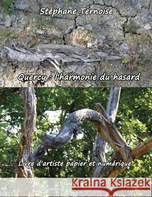 Quercy: l'harmonie du hasard: Livre d'artiste papier et numérique Ternoise, Stephane 9782365414432 Jean-Luc Petit Editeur