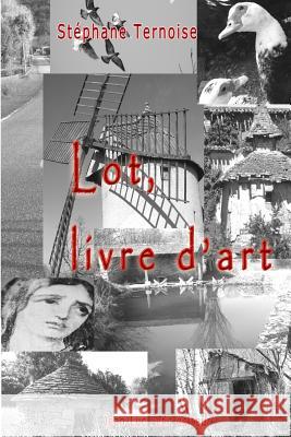 Lot, livre d'art Ternoise, Stephane 9782365414944 Jean-Luc Petit Editeur