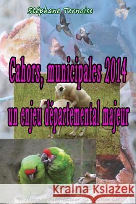 Cahors, municipales 2014: un enjeu départemental majeur Ternoise, Stephane 9782365415293 Jean-Luc Petit Editeur
