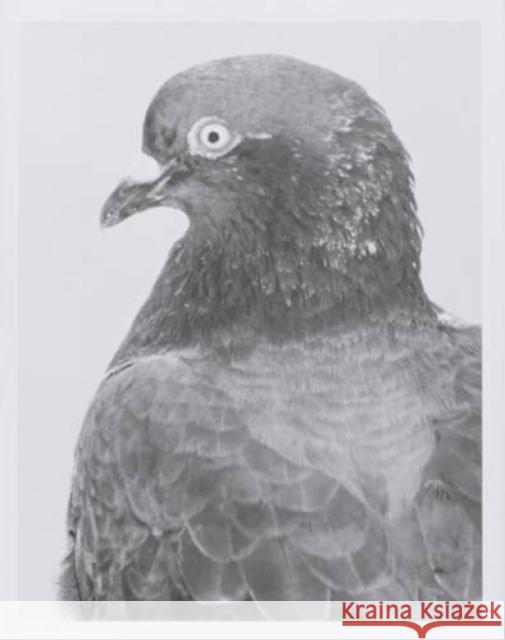 Citizen Marten Lange   9782369620051 Etudes Books