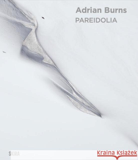 Adrian Burns  9782370742605 Editions Skira Paris