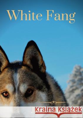 White Fang: White Fang's journey to domestication in Yukon Territory and the Northwest Territories during the 1890s Klondike Gold Jack London 9782382744765 Les Prairies Numeriques