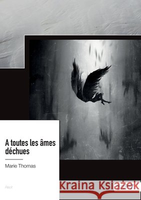 ? toutes les ?mes d?chues Marie Thomas 9782383514664 Nombre7