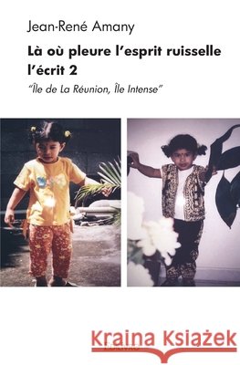 L? o? l'esprit pleure ruisselle - Tome 2 Jean-Ren? Amany 9782414404032