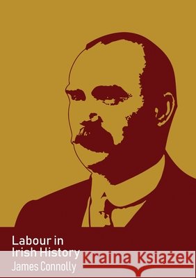 Labour in Irish History James Connolly 9782491182298