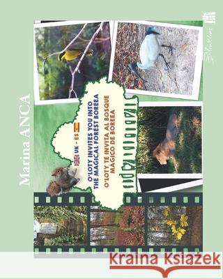 O'Loty invites you into the magical forest Boreea: O'Loty te invita al bosque mágico de Boreea Anca, Marina 9782492086090 Blinkline Books