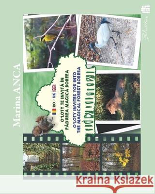O'Loty te invită ?n pădurea magică Boreea: O'Loty invites you into the magical forest Boreea Marina Anca Blinkline Books Marina Anca 9782492086212 Blinkline Books
