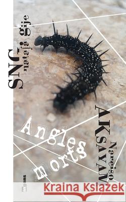 Angles morts Narciso Aksayam Ali Lham Miguel  9782492346071 Afnil
