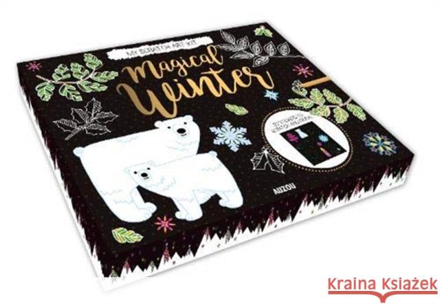 Magical Winter (Scratch Art Kit) Jane Ryder-Gray 9782733871935