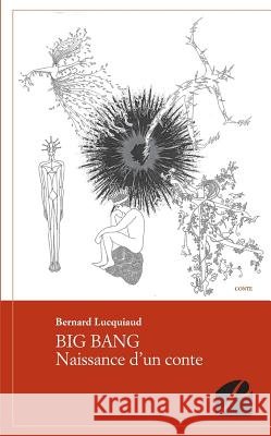 Big Bang: Naissance d'un conte Bernard Lucquiaud 9782754721783 Du Pantheon