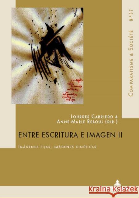 Entre Escritura E Imagen II: Imágenes Fijas, Imágenes Cinéticas Carriedo Lopez, Lourdes 9782807606289