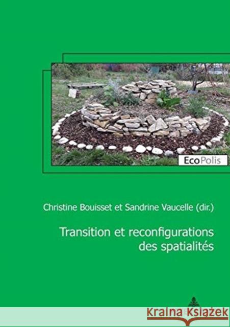 Transition Et Reconfiguration Des Spatialités Bouisset, Christine 9782807612266 P.I.E-Peter Lang S.A., Editions Scientifiques