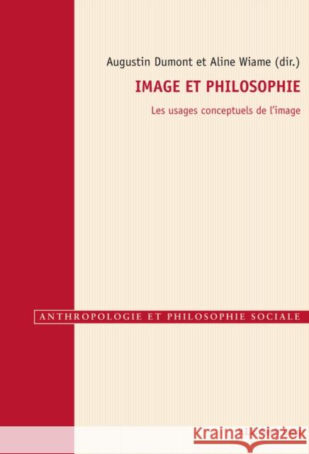 Image Et Philosophie: Les Usages Conceptuels de l'Image Gély, Raphaël 9782875742025