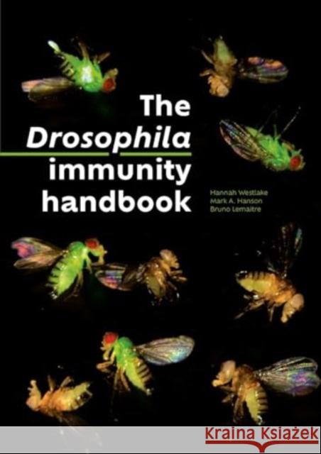 Drosophila Immunity Handbook Bruno Lemaitre Hannah Westlake Mark A. Hanson 9782889156467 Epfl Press