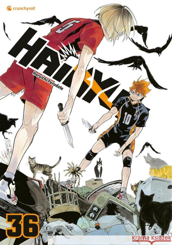 Haikyu!! - Band 36 Furudate, Haruichi 9782889513918