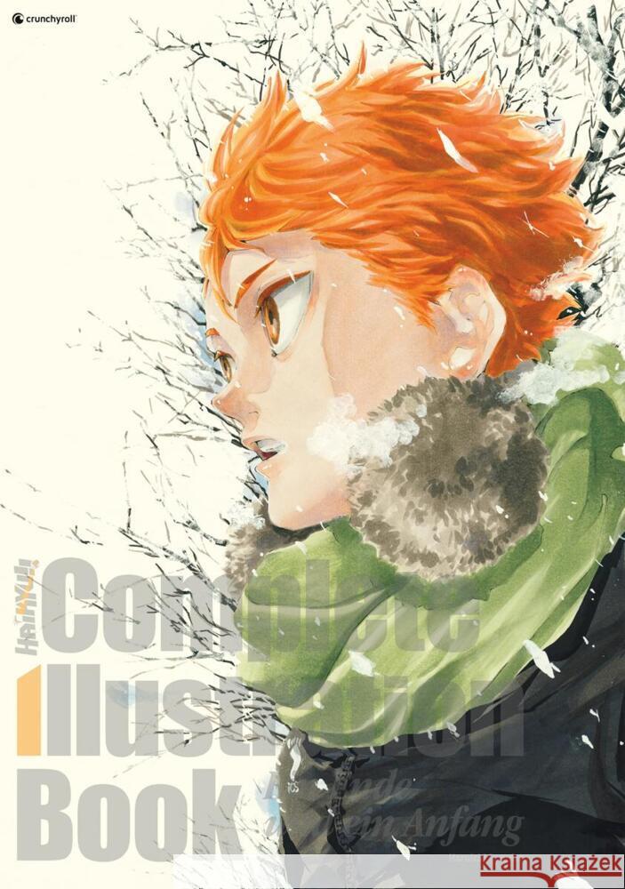 Haikyu!! Complete Illustration Book - Ein Ende und ein Anfang Furudate, Haruichi 9782889514762 Crunchyroll Manga