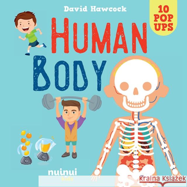 Human Body David Hawcock 9782889754113