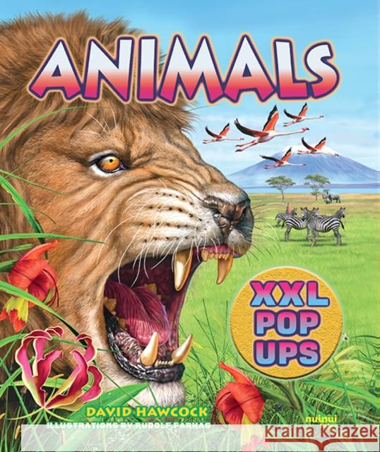 Animals XXL pop-ups David Hawcock 9782889754274