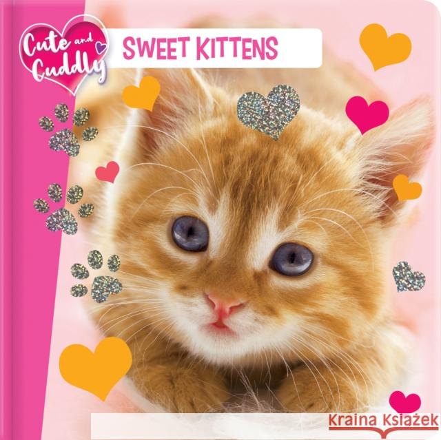 Cute and Cuddly: Sweet Kittens Marine Guion 9782898021749 Crackboom! Books
