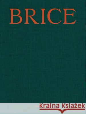 Lisa Brice: Lives and Works Lisa Brice 9782910055929