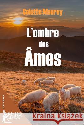 L Ombre des Ames Mourey, Colette 9782917822500 Pgcom Editions