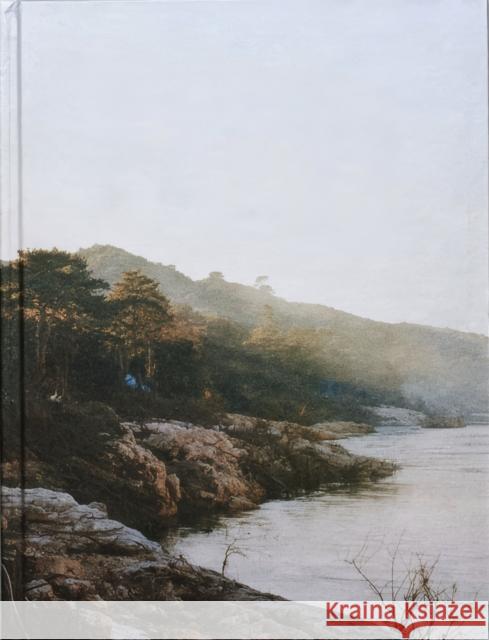 Delta Francois Deladerriere 9782918960751 Poursuite editions