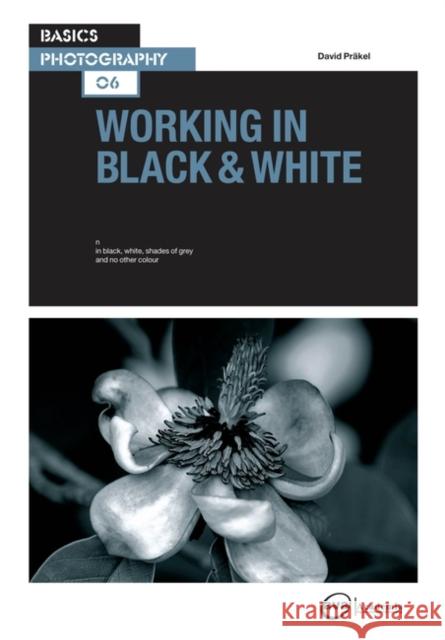 Basics Photography 06: Working in Black & White David Prakel 9782940373857 Ava Publishing
