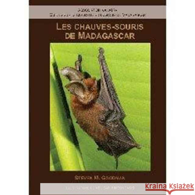 Les Chauves-Souris de Madagascar Steven M. Goodman 9782953892307