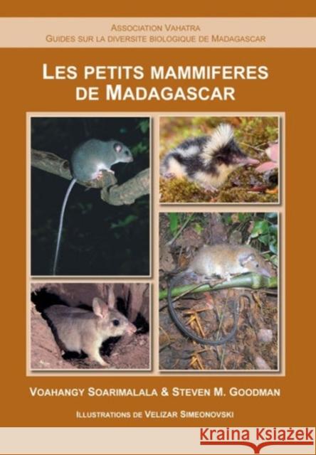 Les Petits Mammifères de Madagascar Soarimalala, Voahangy 9782953892314 Association Vahatra in Antananarivo