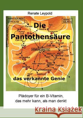 Die Pantothensäure - das verkannte Genie Leypold, Renate 9783000053177 Leypold