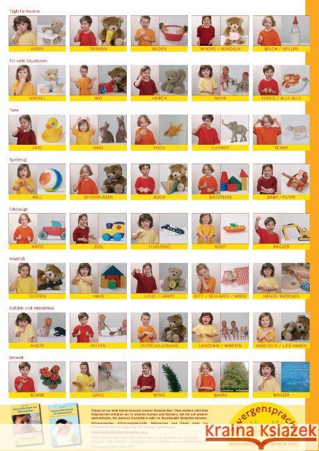Babyzeichen-Plakat: Wichtigste Starterzeichen : 40 Gebärden. Ab 6 Monaten König, Vivian 9783000305962 Zwergensprache